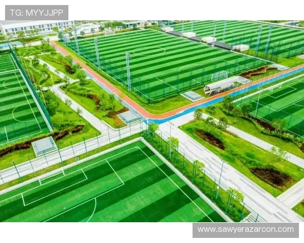 解析凯发体育在线登录的用户界面设计与便利性优势